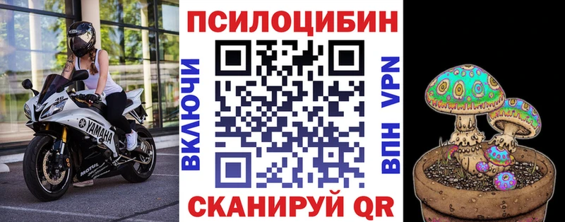 omg ССЫЛКА  мориарти наркотические препараты  Галлюциногенные грибы мицелий  магазин  наркотиков  Уссурийск 